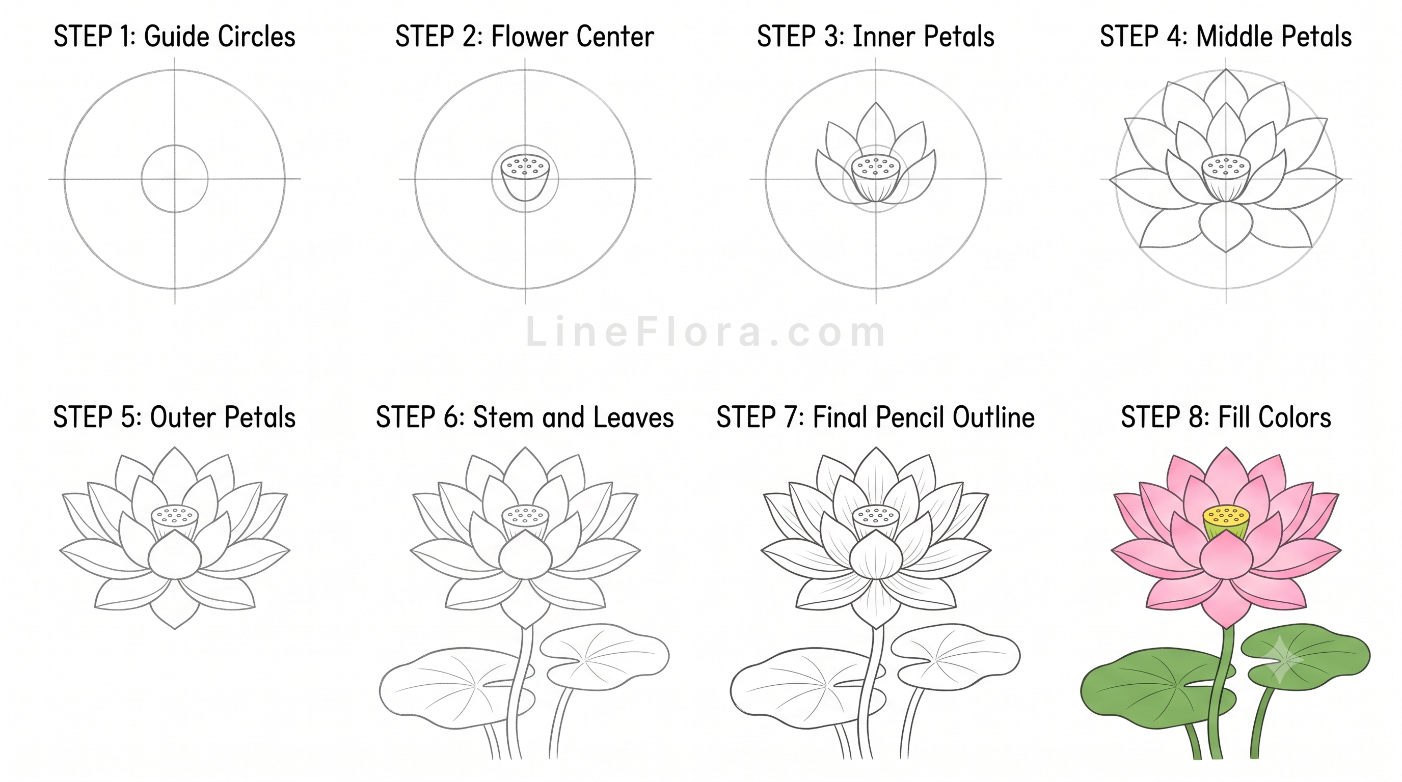 Lotus